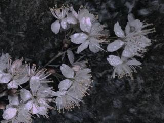 优美语段摘抄大全（10个适合用在作文中的优美语段）