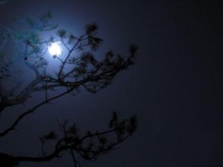 思念家乡（冬夜里最动人的一首思念家乡的诗）