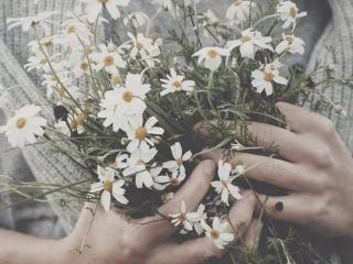 看穿我的逞强（我也想有人看穿我的逞强）