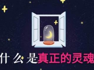 什么是灵魂伴侣（什么是真正的灵魂伴侣）