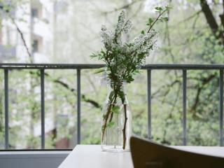 双鱼座男喜欢什么女生，双鱼男喜欢什么样的女生