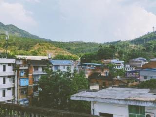 神经兮兮是什么意思（我变得神经兮兮、敏感多疑）