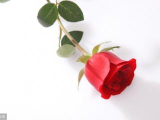 摩羯男巨蟹女，巨蟹座和摩羯座是否合适