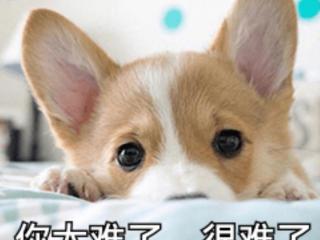 免费学习视频（8个可以免费学习的网站）