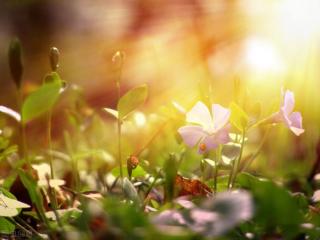 描写心情的文章（值得收藏的写作指导·心理描写）