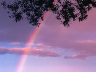 射手座的爱情，射手座的爱一般人真不懂