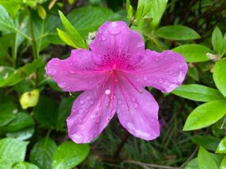 男朋友不想结婚（男友说他不想结婚不想要孩子）