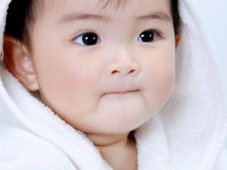 生辰八字五行取名免费（按生辰八字免费起名）