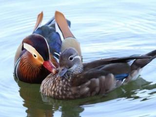 免费运势测算（测你近期各方面的运势如何）