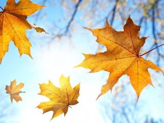 男朋友不爱你的表现（当你男朋友开始有这些表现）