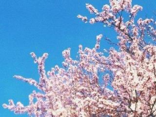 快手上很火的文字（最近快手很火的经典句子）