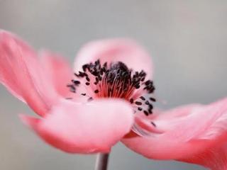 感悟幸福（幸福的人生感悟句子）