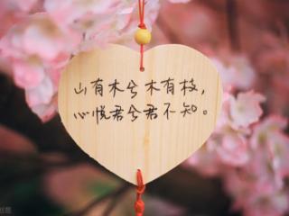 那些年我们错过的爱情，我们一起看过的荧幕初恋