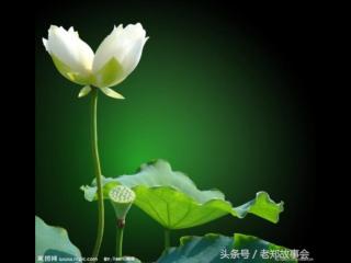 男女婚姻属相配对表（你的属相配什么最好）