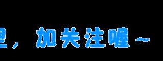 上海市职业能力考试网（上海职业资格证书成绩可查了）