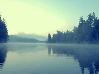 梦见被蟒蛇咬，梦见被蛇咬伤好还是坏