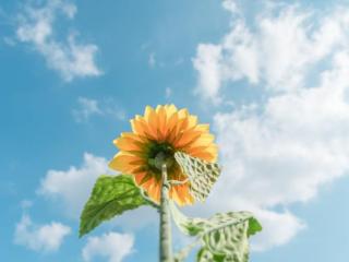 男生把你当备胎的迹象，男人把女人当备胎的三个表现