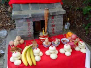 梦见黑蛇是什么预兆，农村俗语坟现黑蛇要迁坟