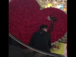 送什么花表示求复合，男子送前妻1314朵玫瑰求复合
