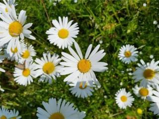 男情人对你真心的表现，男人真心爱你会有的5个表现