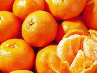 芦柑和橘子的区别（橙子、橘子、芦柑长得有点像）
