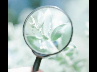 男人被表白后的心理学，男生被女生表白后是怎么想的