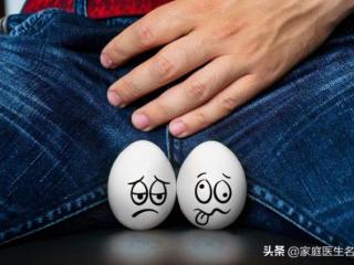 男人的生殖器官，男人蛋蛋多大算正常