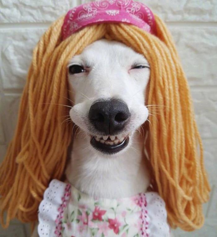 逗女生开心的笑话(哄女孩开心的幽默笑话)