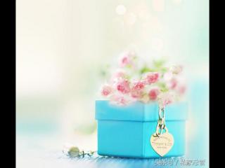 不再相信爱情（有许多人被爱情伤害过）