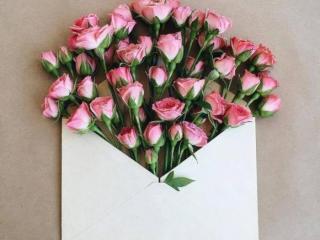 qq留言板留言暖心的话（写给自己最暖心的句子）