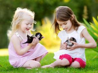 婚姻挽回的方法，有效婚姻挽回方法｜