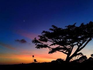 佛系语录（人生感悟的佛系语录）