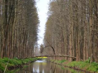 婚姻不是一张纸（婚姻真不是一张纸的事）