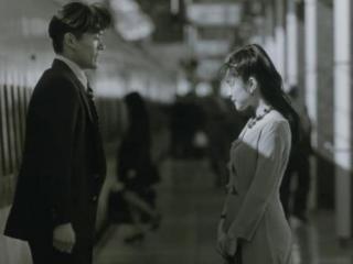 花式表白套路（各式各样的表白套路）