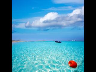 婚姻与爱情无关（婚姻真的可以和爱情无关）