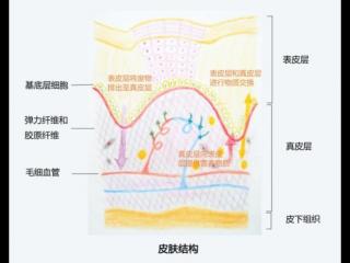 黄褐斑和雀斑（雀斑和黄褐斑有什么区别）
