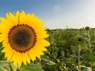 生活感悟短语（现实走心的生活感悟短语）