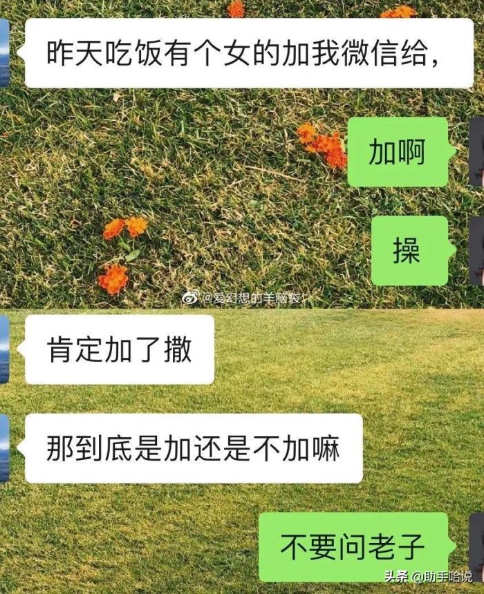 你见过最尴尬的聊天截图(曝光和前任的尴尬聊天记录)