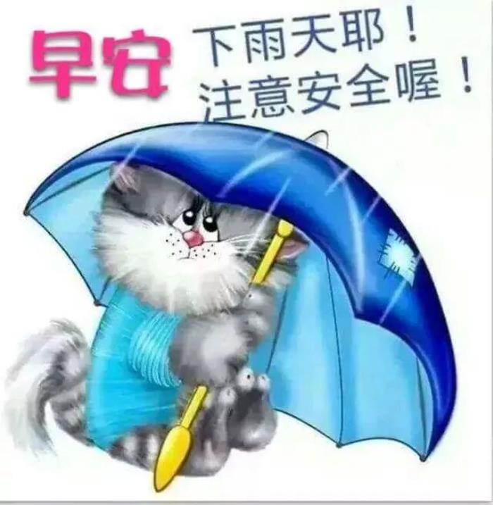 形容下雨天的唯美句子早安祝福图片唯美带字