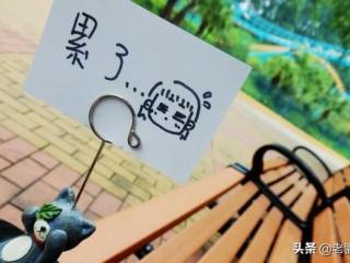 初中生优美句子摘抄（机智的初中生都在摘抄）