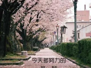 经典语录图片（一句话经典语录励志配图）