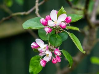 巨蟹座跟什么星座最配，与巨蟹座很般配的三大星座