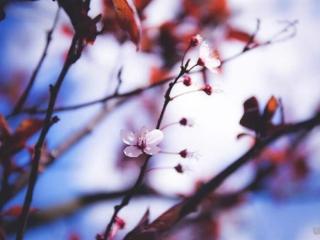 余生很贵经典语录（余生很贵的经典语录）