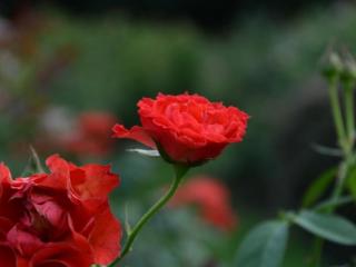 巨蟹女和射手男，温柔的巨蟹座是这三大星座的挚爱