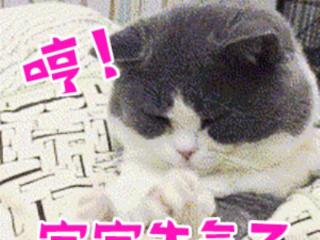 生气的图片发怒的图片（生气表情包图片大全）