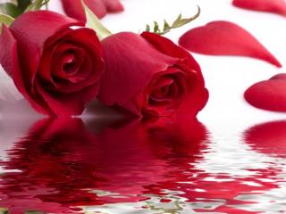 恋人未满什么意思啊（友情之上恋人未满究竟是个什么鬼）