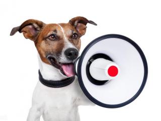 爬山幽默说说（硬拉着不爱运动的老婆一起去爬山）