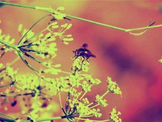 六月你好（6月最新版朋友圈6月你好图片）