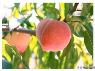 测测我今年的运气（测你今年的运势如何）