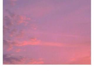 思念的心情（淡淡思念的说说心情短语）